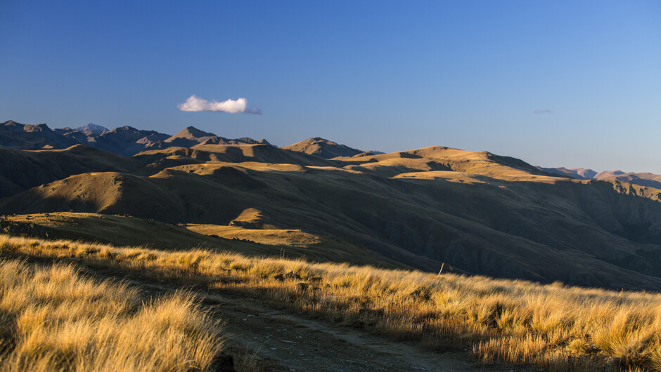 Off the beaten track on a Central Otago Photo Safari