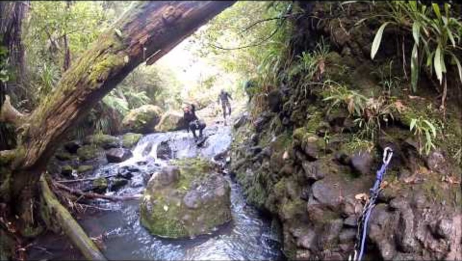 AWOL Rainforest Canyoning