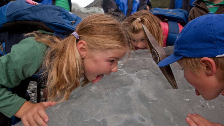 The Fox Glacier Fox Trail Terminal Face Walk is suitable for all the family (children from 5yrs).