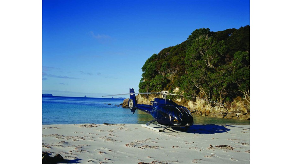 Luxury helicopter tour with a picnic on the beach