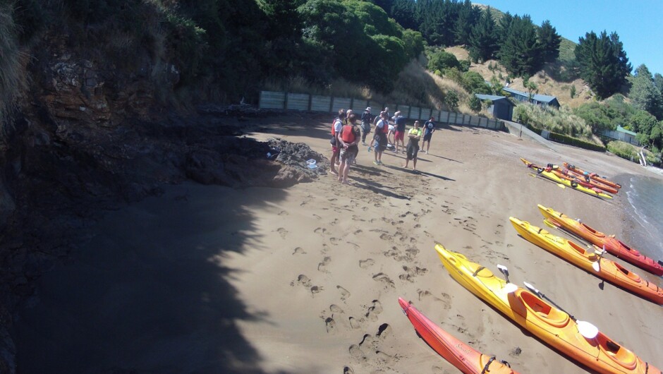 Summer kayak beach landing on Akaroa Harbour