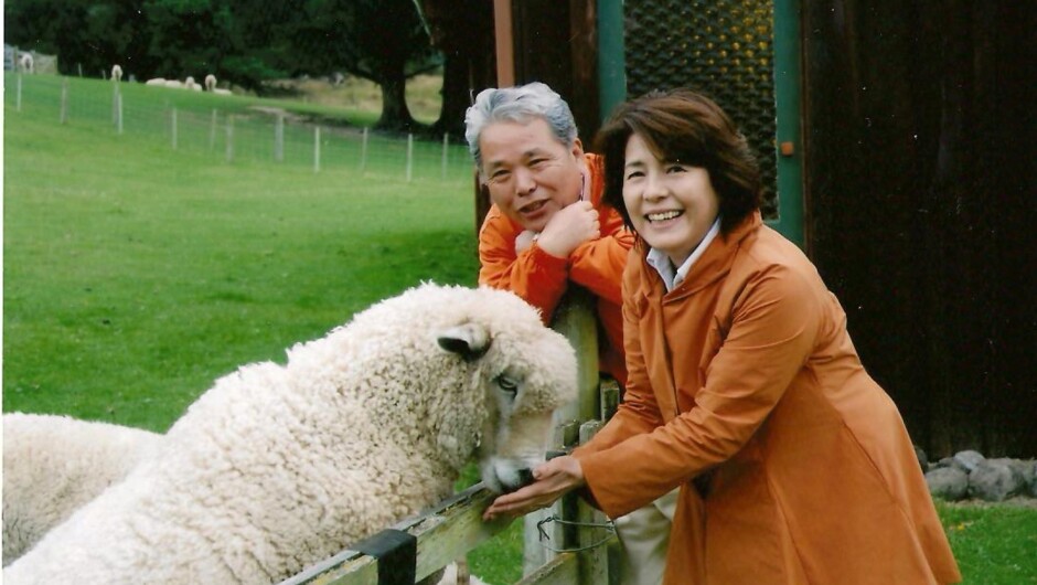 Feeding the sheep on CanNZ Farm Tour