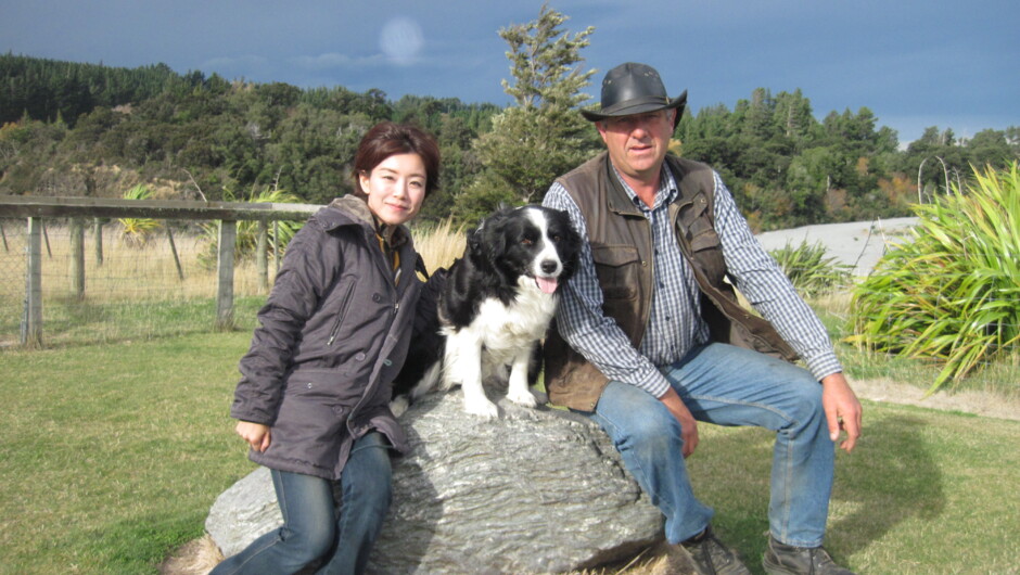 Border Collie sheepdog photo