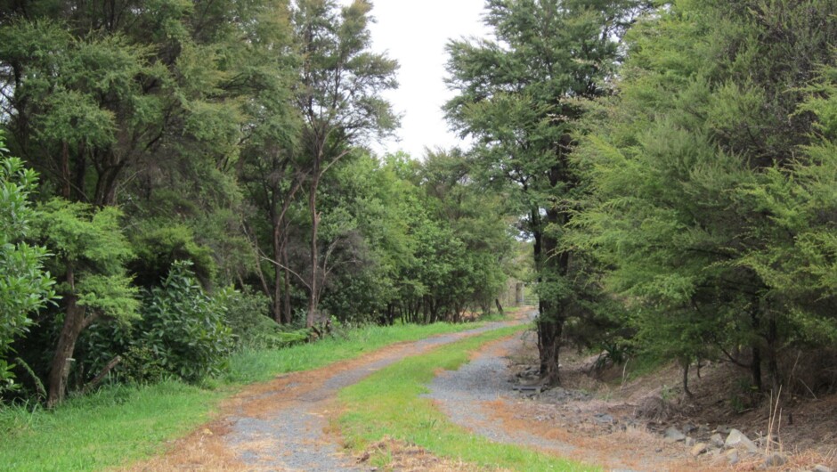 Arrive via your private bushclad driveway.