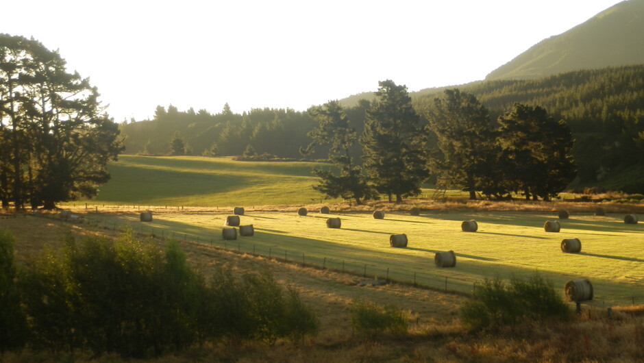 Haymaking