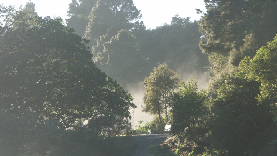 Morning at the Gardens