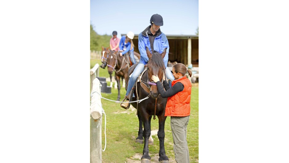 Walter Peak Horse Treks - Real Journeys