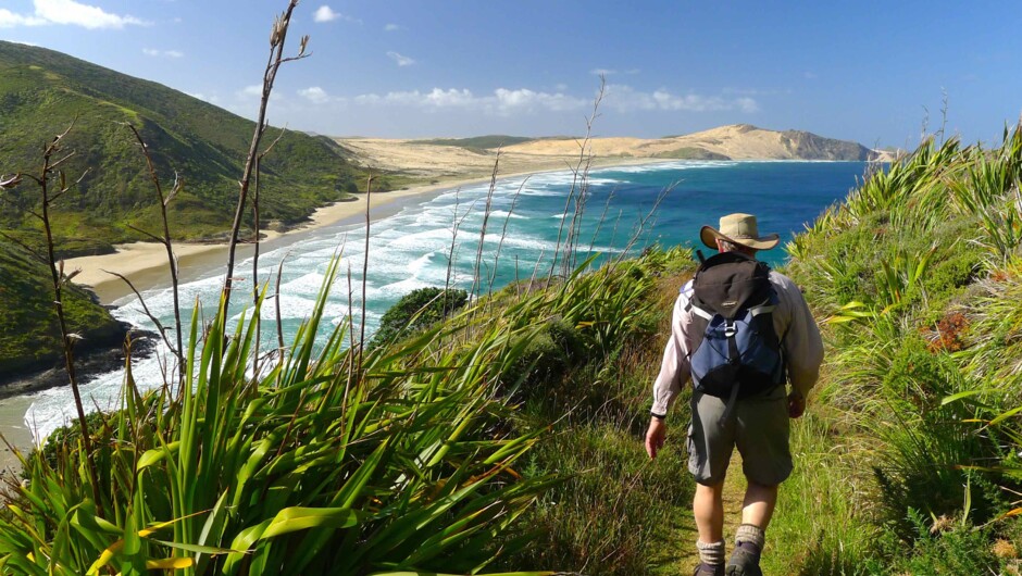 Coastal walks like you've never seen before at Cape Reinga.