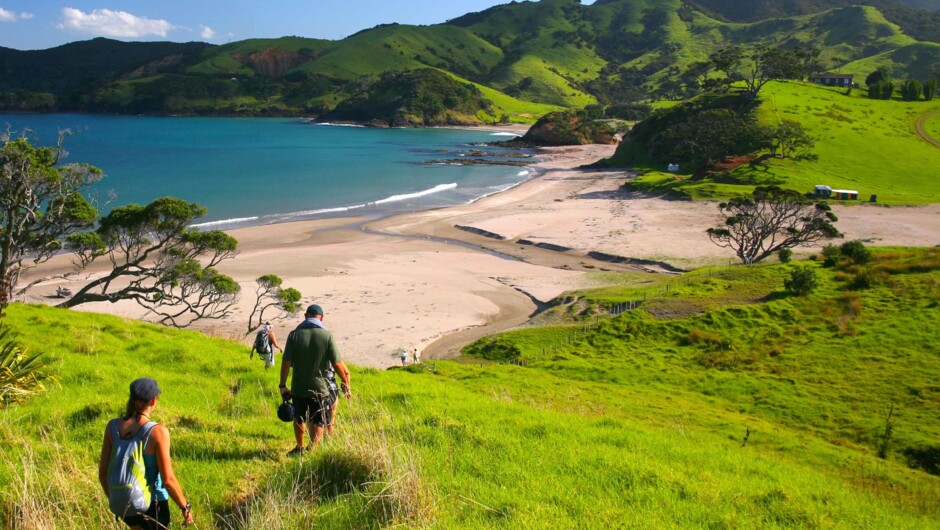 Meandering down to Elliots Beach for a swim after during your hike.