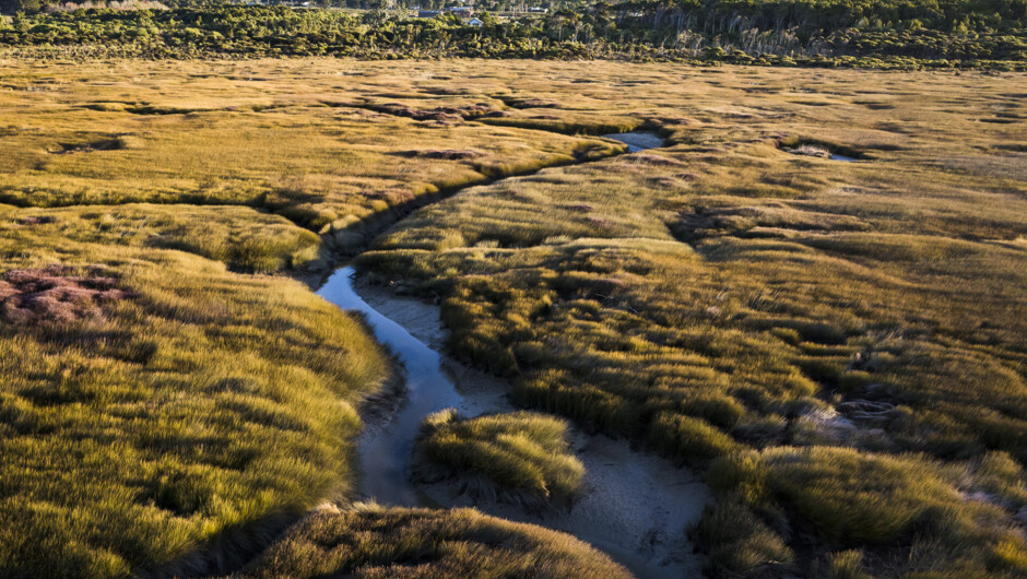 From the marshland looking towards our B&B