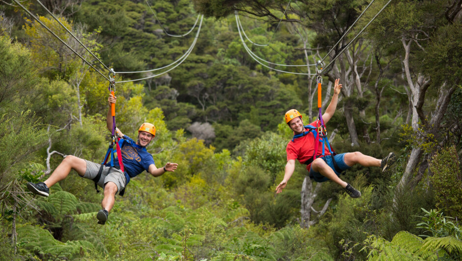 Zip 2 coming in to land...