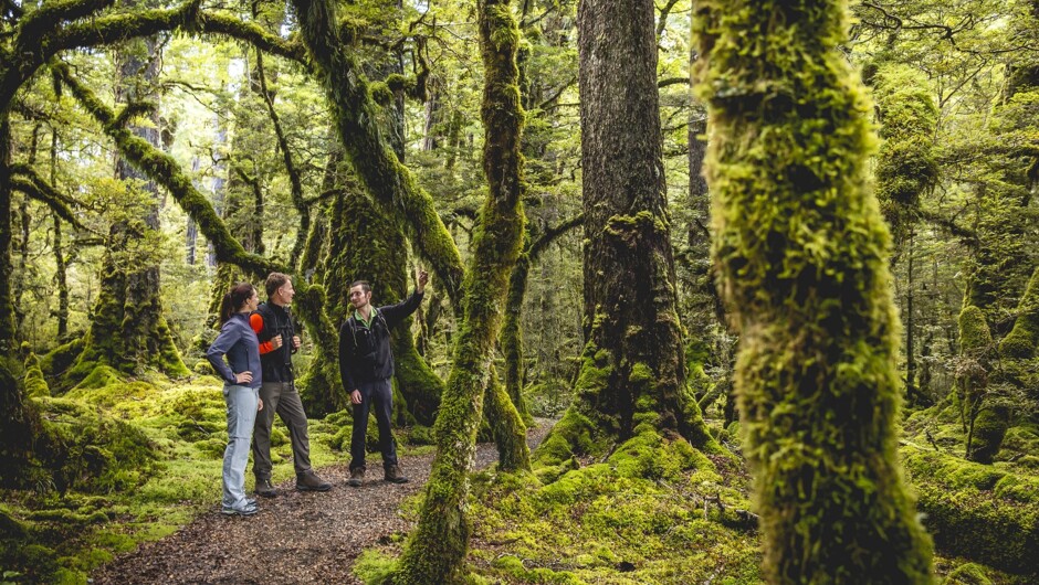 Lake Gunn Nature walk with Trips & Tramps guide