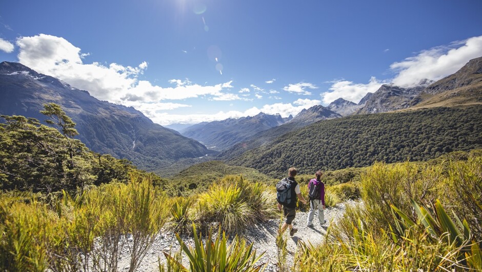 Routeburn Track, Key Summit in the main mountain divide is Day 3.