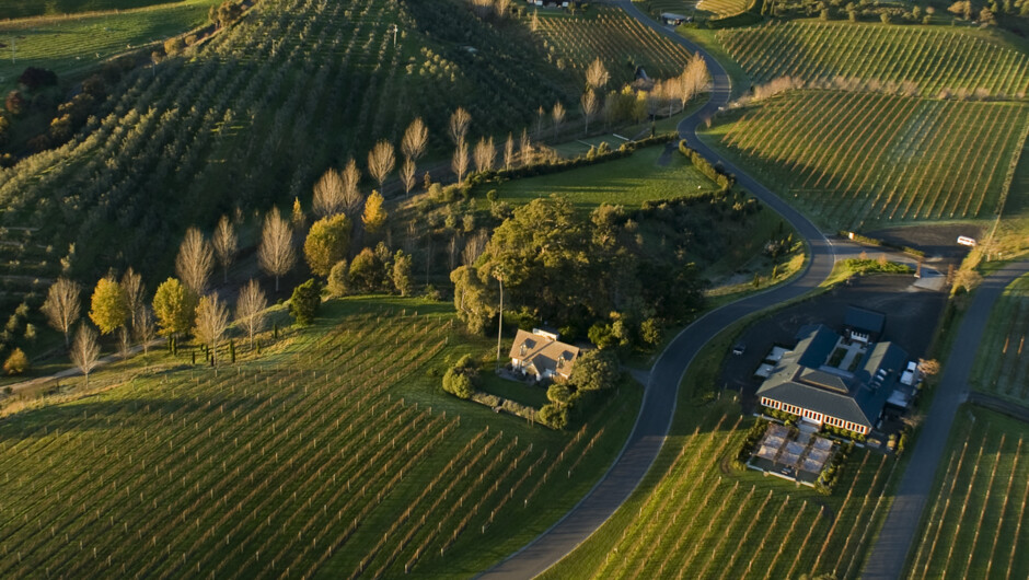 Black Barn Vineyards, Rush Cottage, Black Barn Retreat, Gowers Market, Amphitheatre, Cellar Door, Kitchen and Bistro