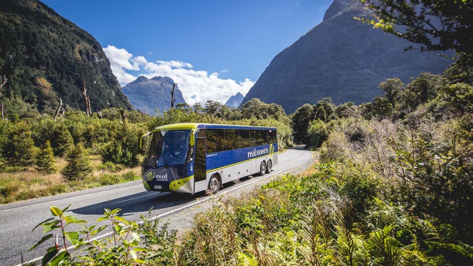 Milford Sound Coach & Cruise from Te Anau - Real Journeys