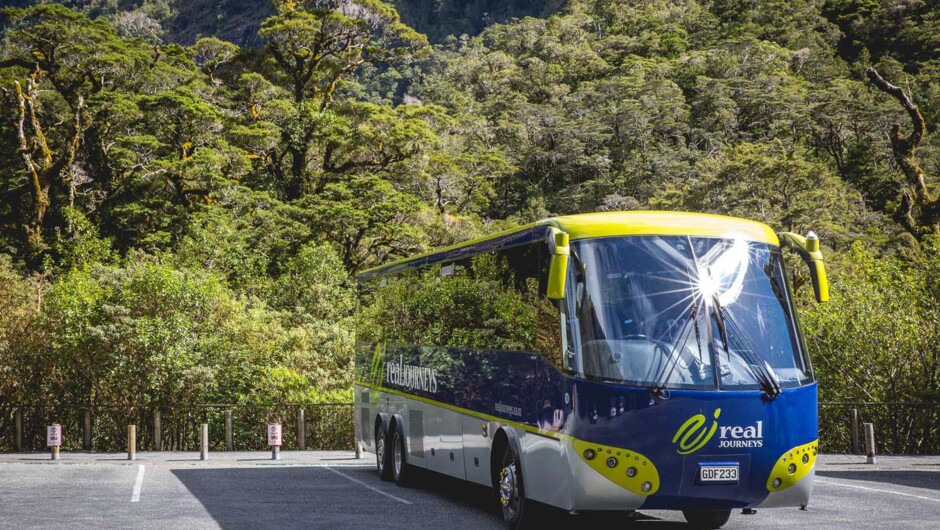 Doubtful Sound Wilderness Cruises - Real Journeys