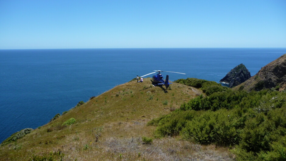 Remote picnic spot