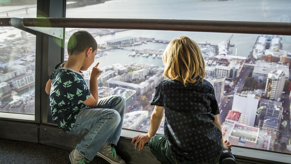 Sky Tower view from the main observation level