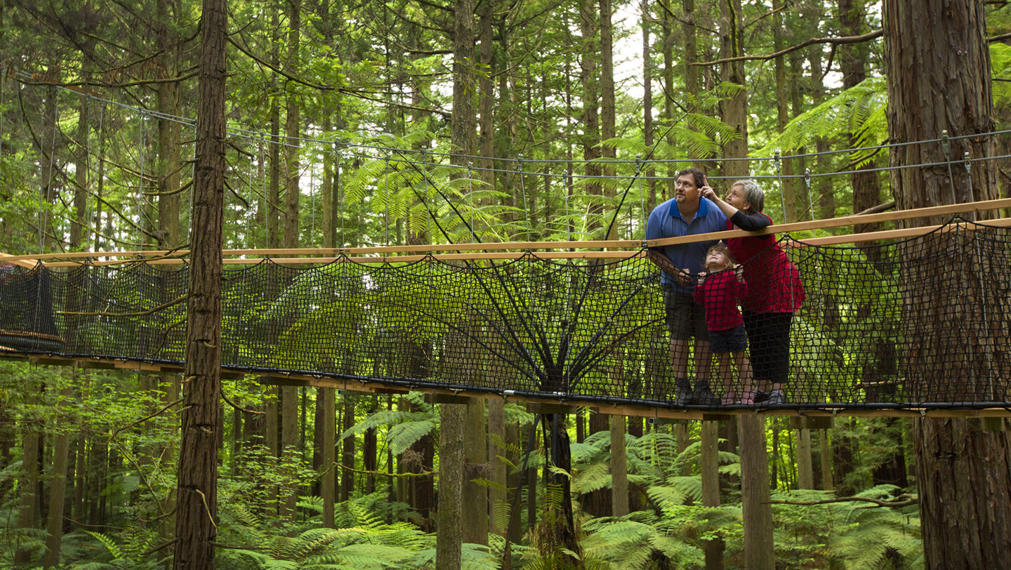 Redwoods Treewalk | Activity in Rotorua, New Zealand