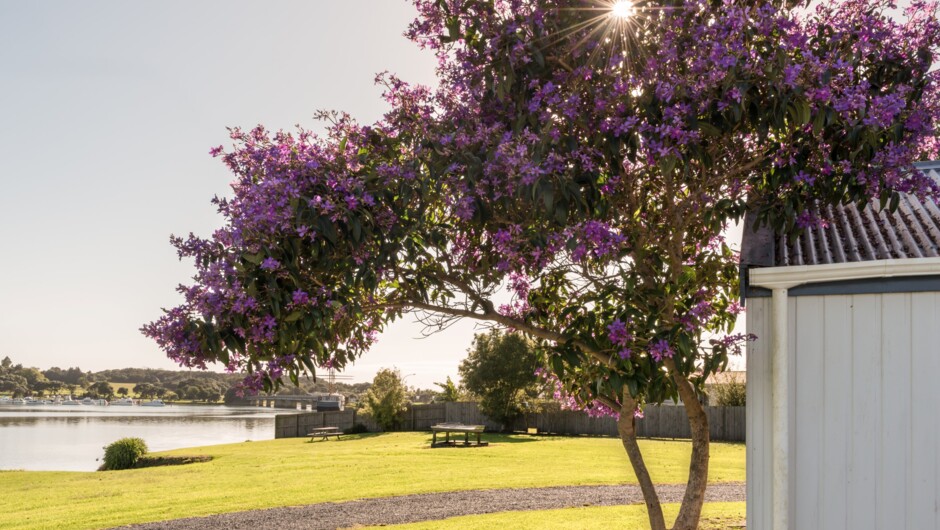 Clean and tidy grounds