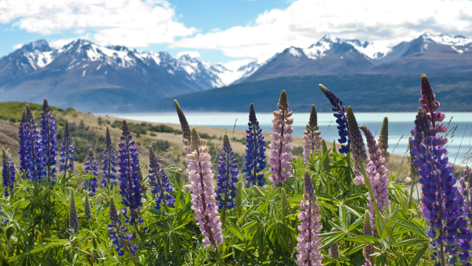 Mount Cook National Park