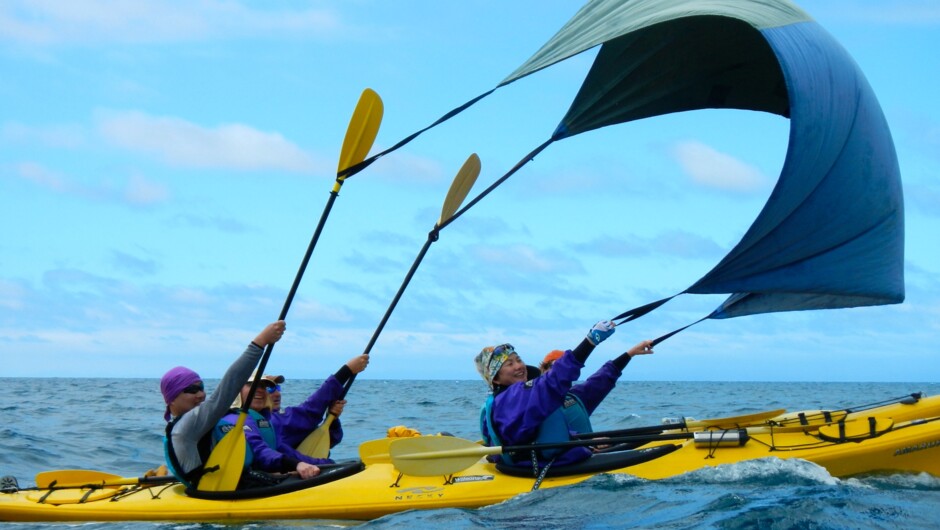 Kayak sailing