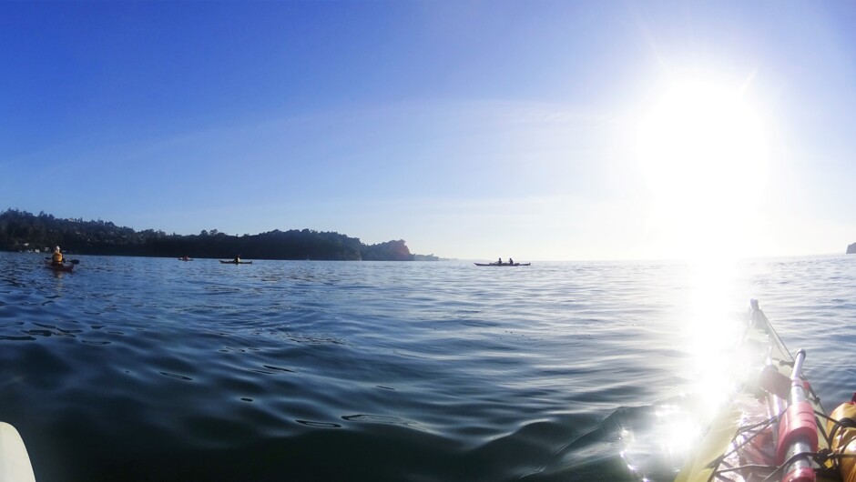 A beautiful morning in Karepiro Bay