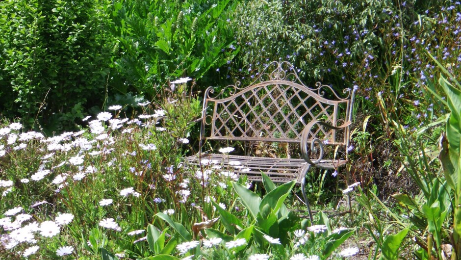 Sunny bench in a sea of flowers.