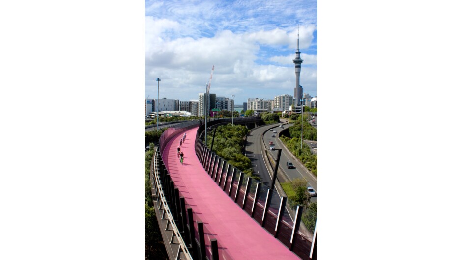 Checking out Auckland's Harbour Bridge