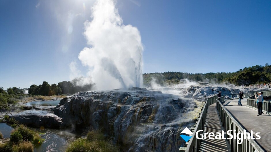 greatsights-rotorua-geyser.jpg