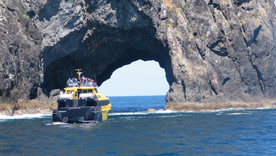 Hole in the rock
Bay of islands