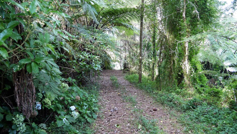 Pretty walkway to river