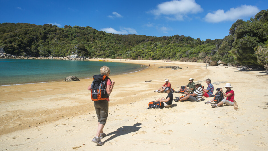 Daily Transfers Abel Tasman/Queen Charlotte Tracks and Te Araroa Trail.