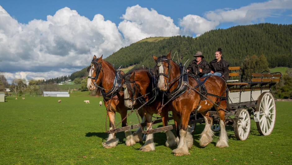 克莱兹代尔（Clydesdale）