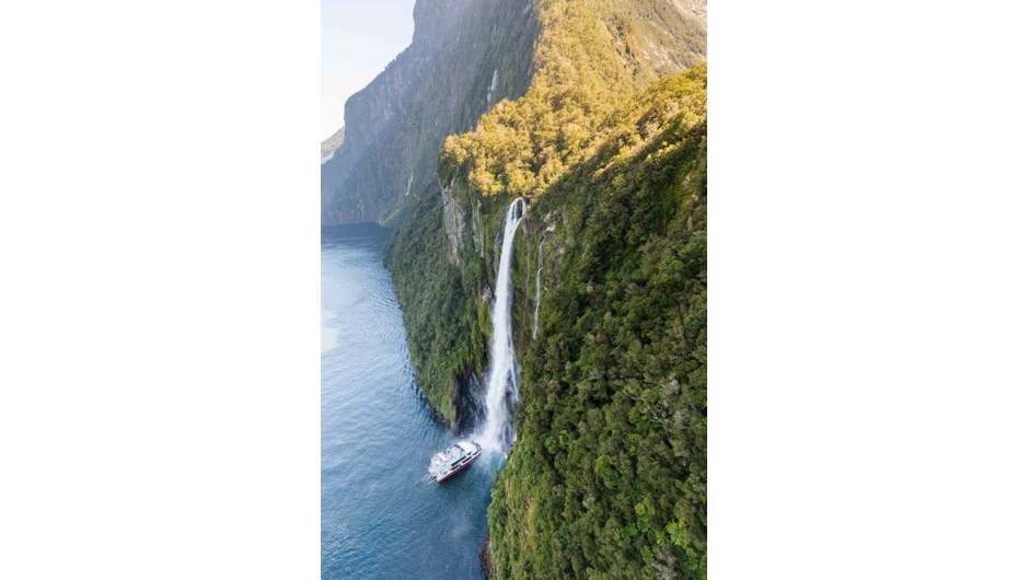 Milford Sound Scenic Cruise