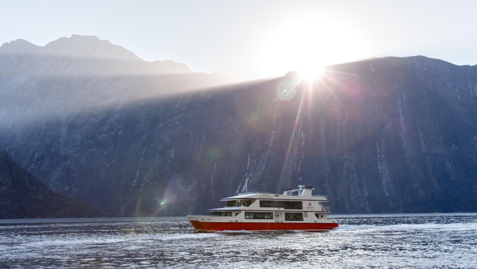 Milford Sound Scenic Cruise