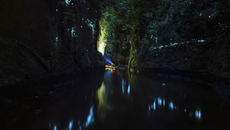 Waimarino Tauranga Evening Kayak Tour.jpg