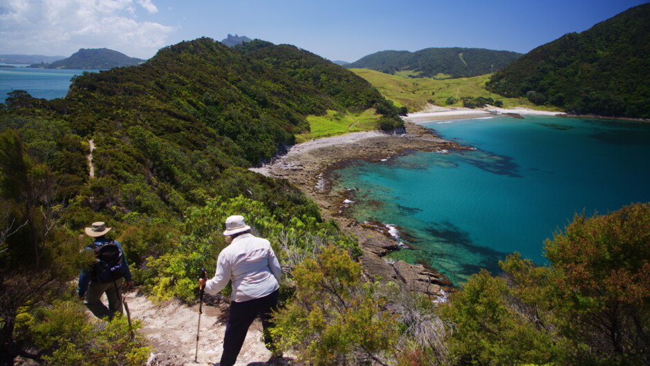 Beautiful warm blue waters of the Far North.