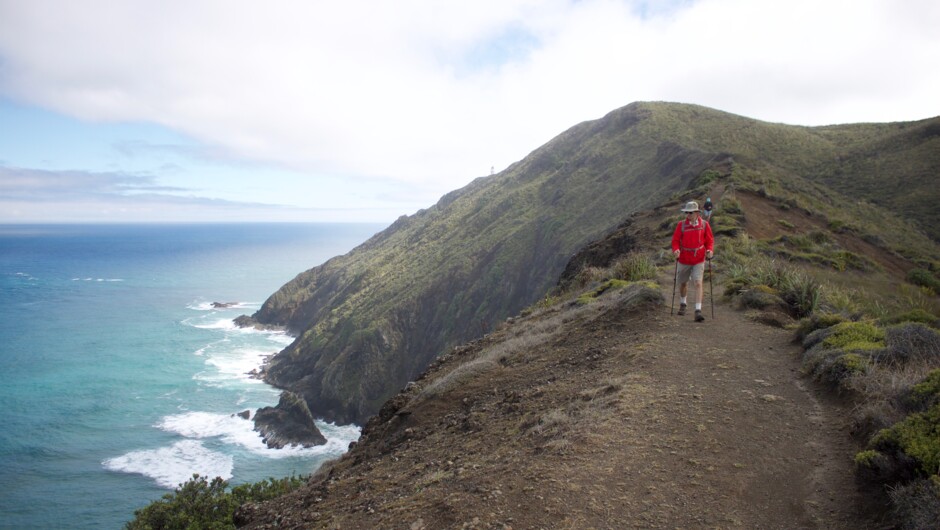 Cruising out to Cape Reinga.