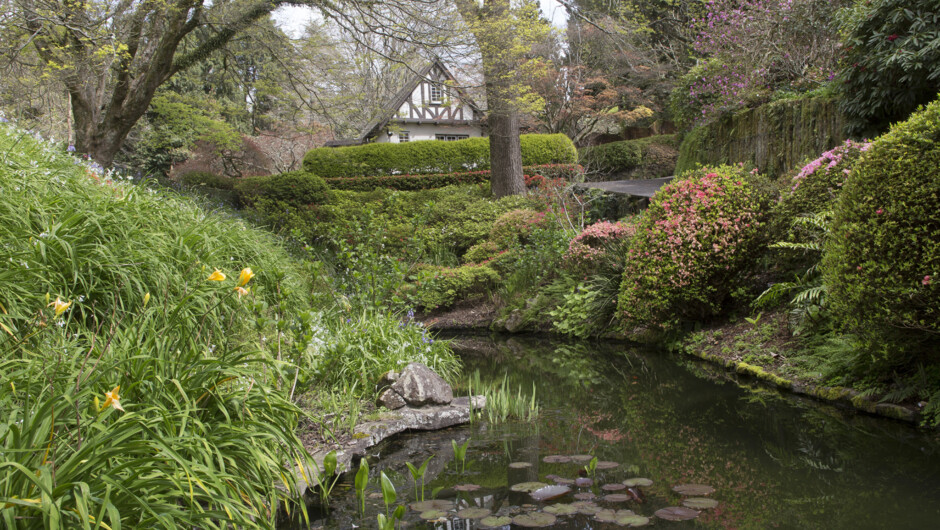 Cottage from the ponds