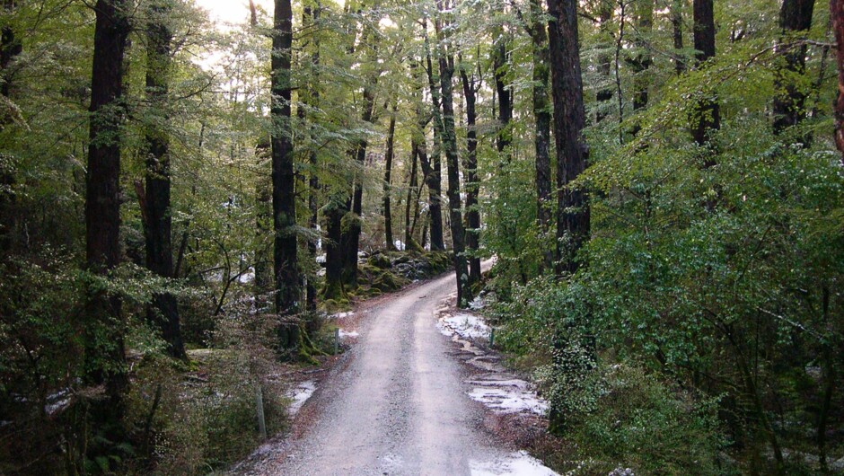 路特本步道（Routeburn Track）