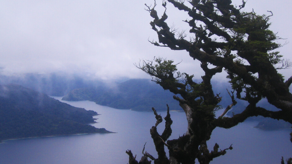 Lake Waikeremoana