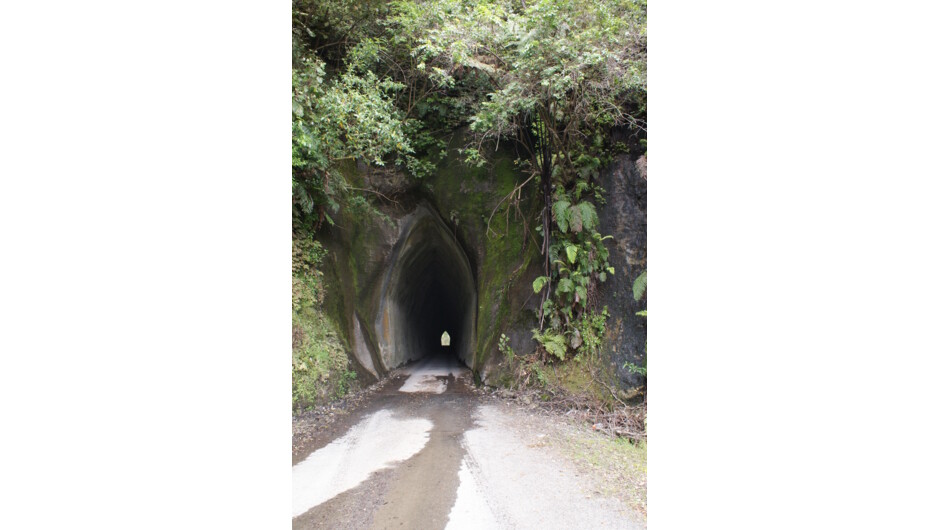 Makahu Tunnel