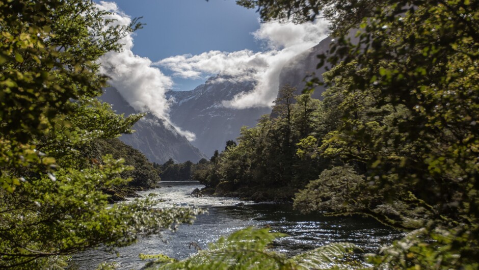 Stunning views of the Arthur River.