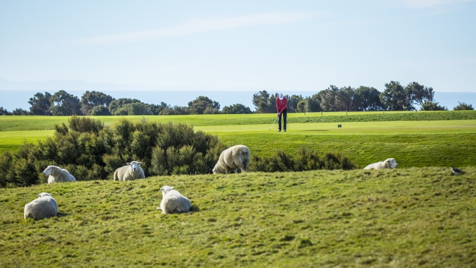 Cape Kidnappers Golf Course