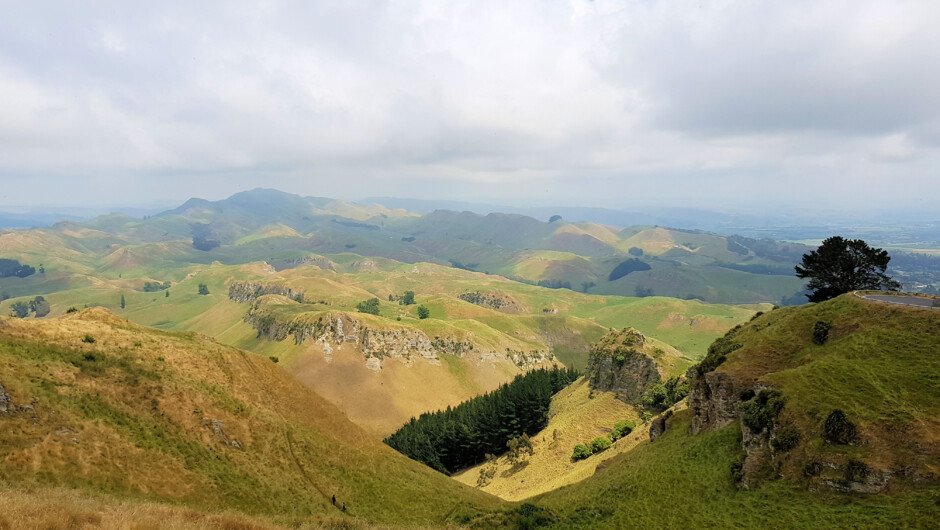 Stunning views from Te Mata Peak