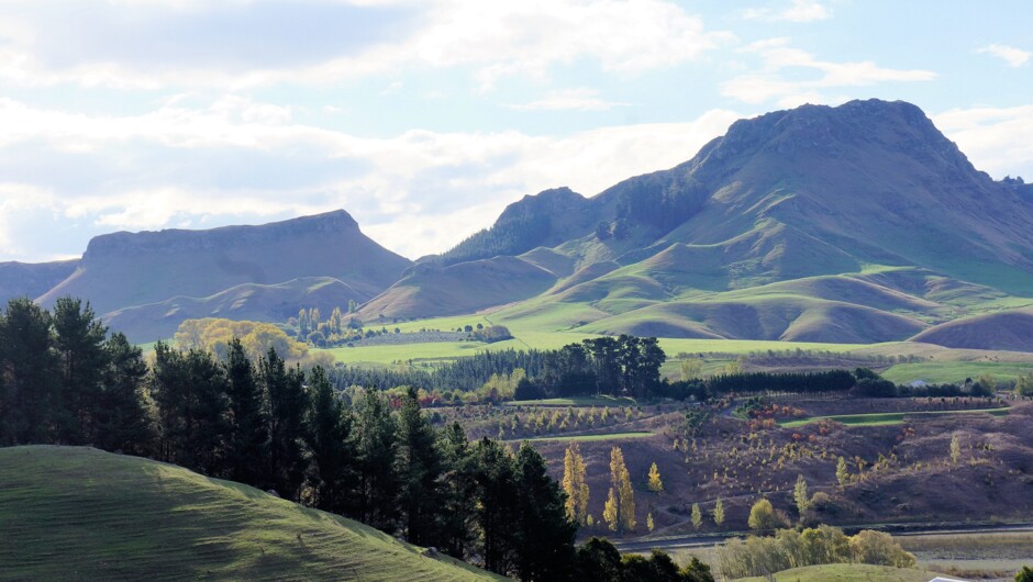 Hawkes Bay scenery