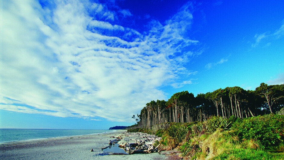 We love exploring New Zealand in an 'active' way; activities like hiking, cycling or kayaking are great ways to see the country.