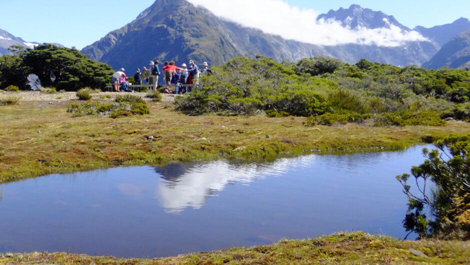 On top of the world at Key Summit on the Routeburn Track, an easygoing day hike