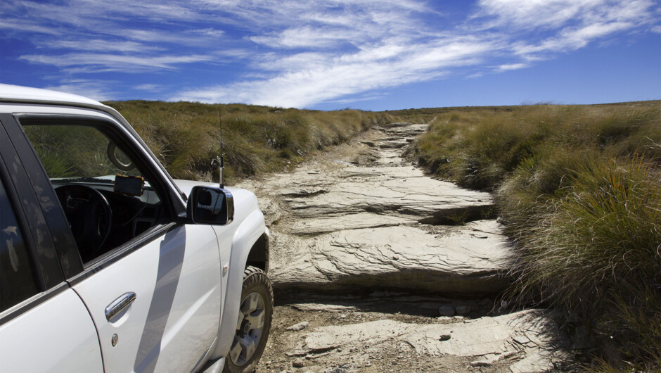 Rock steps, Waikaia Bush Road